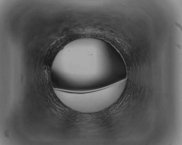 X0000091951493200709061029