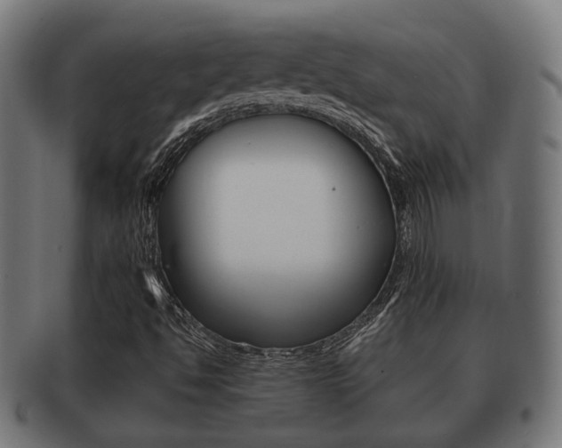 X0000091951494200709061029