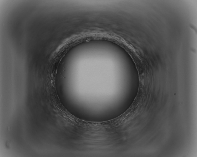 X0000091951495200709061029