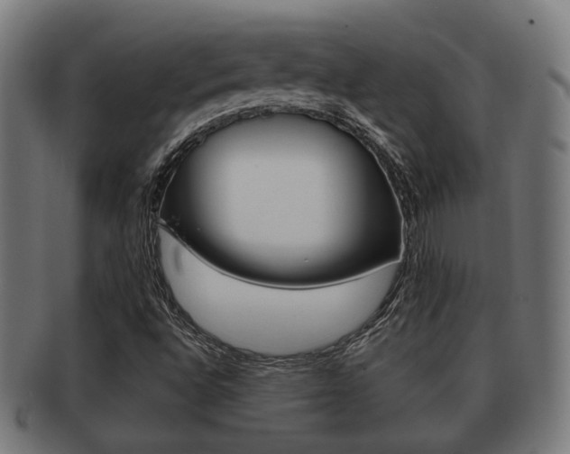 X0000091951496200709061029