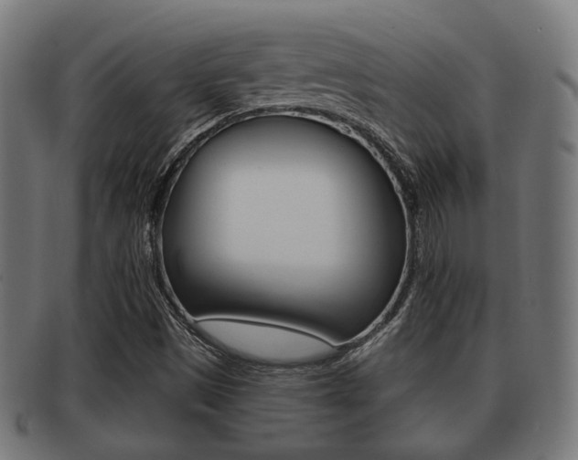 X0000091951497200709061029