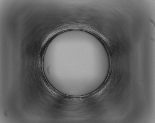 X0000091951498200709061029
