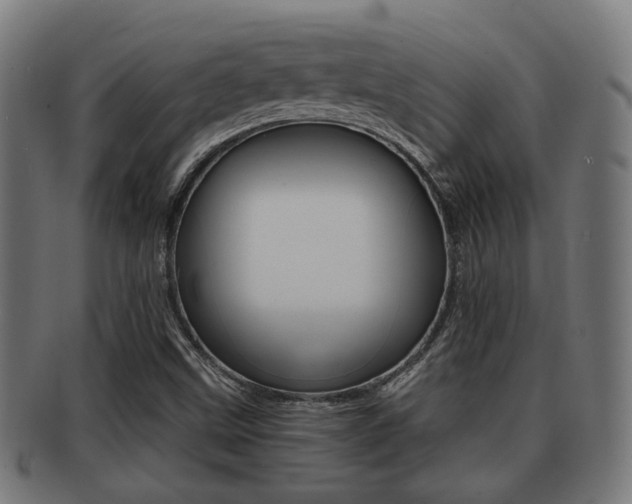X0000091951499200709061029