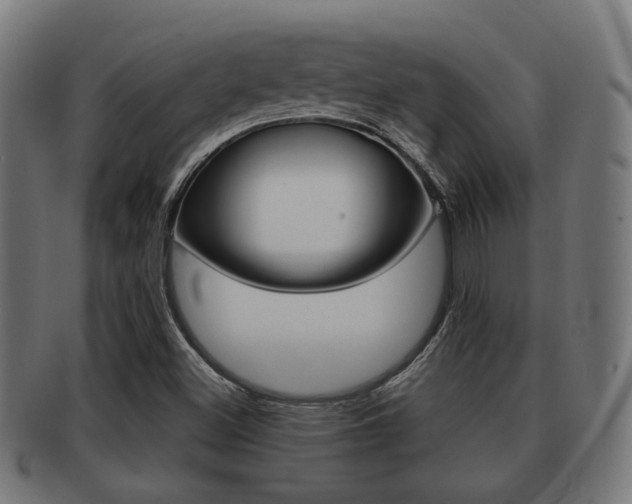 X0000091951500200709061029