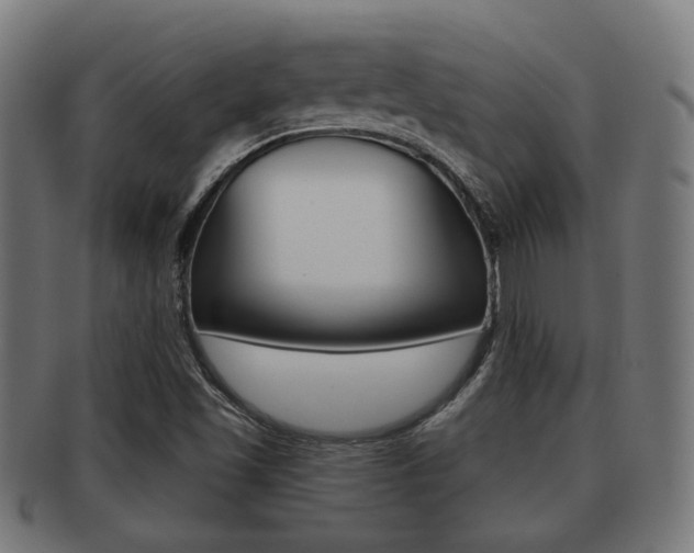 X0000091951501200709061029