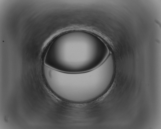 X0000091951502200709061029