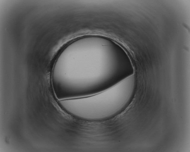 X0000091951503200709061029