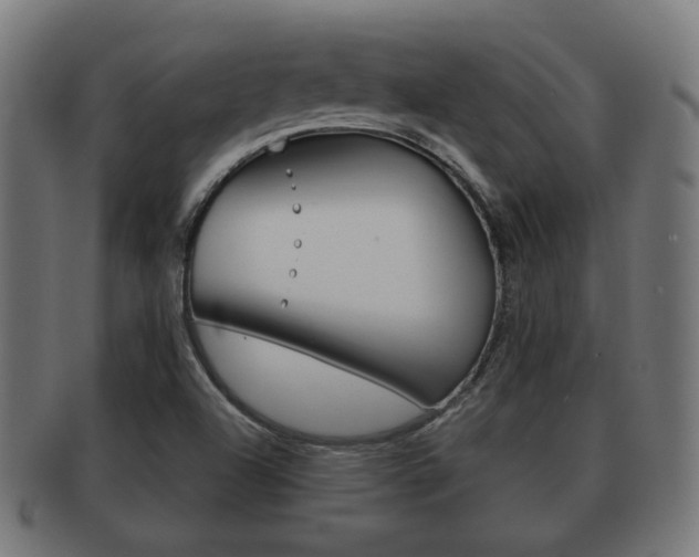 X0000091951504200709061029