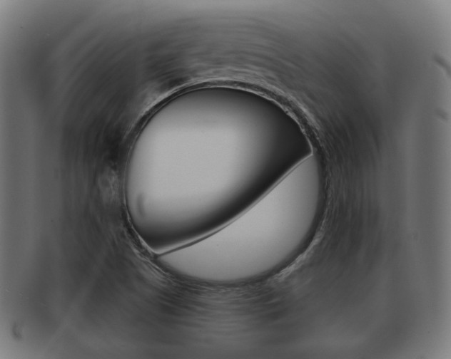 X0000091951505200709061029