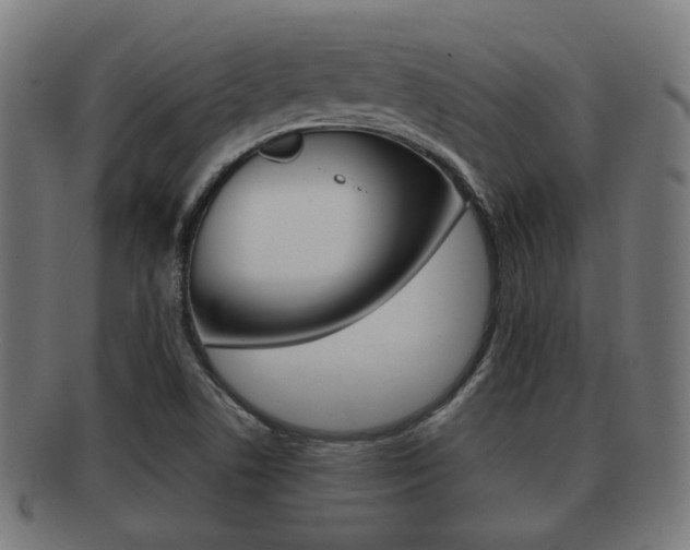 X0000091951506200709061029
