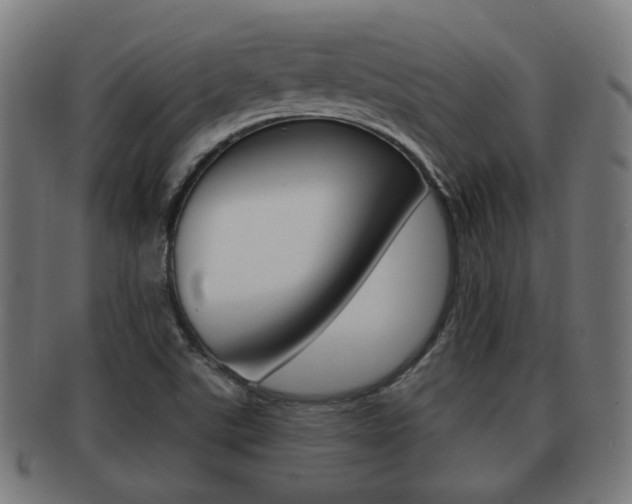 X0000091951507200709061029