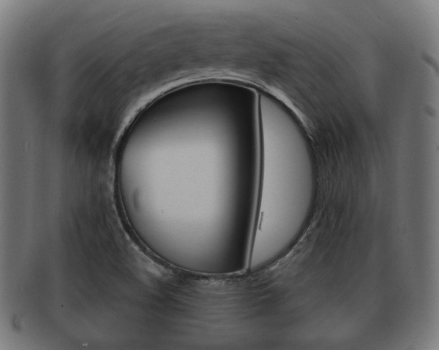 X0000091951508200709061029
