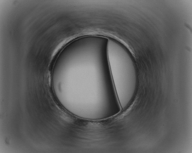 X0000091951509200709061029