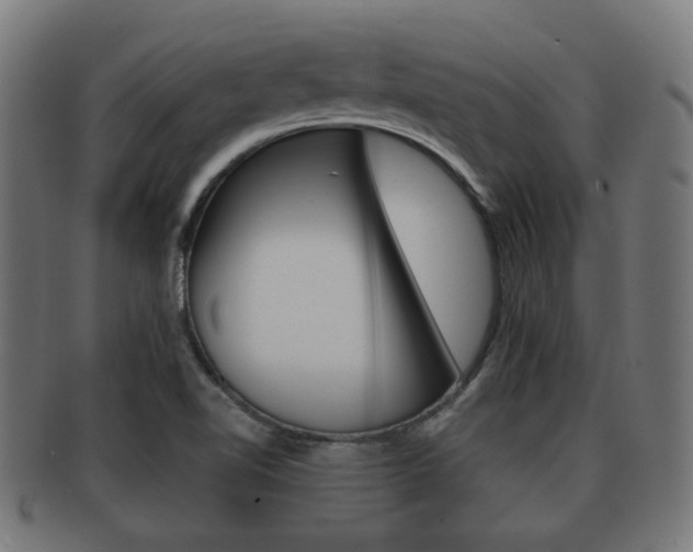 X0000091951510200709061029