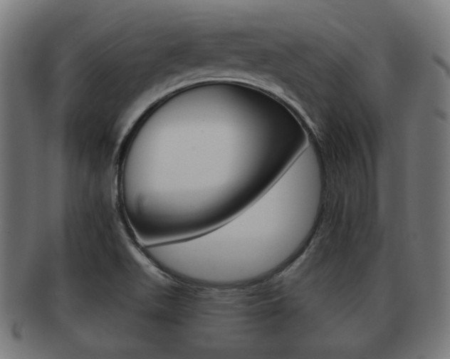X0000091951511200709061029