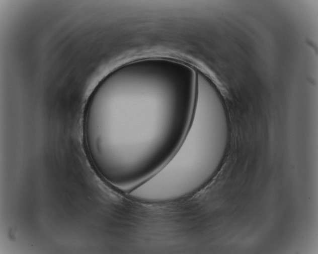 X0000091951512200709061029