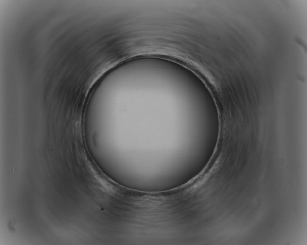 X0000091951513200709061029