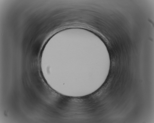 X0000091951514200709061029