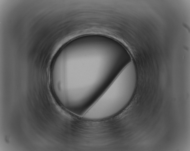 X0000091951515200709061029