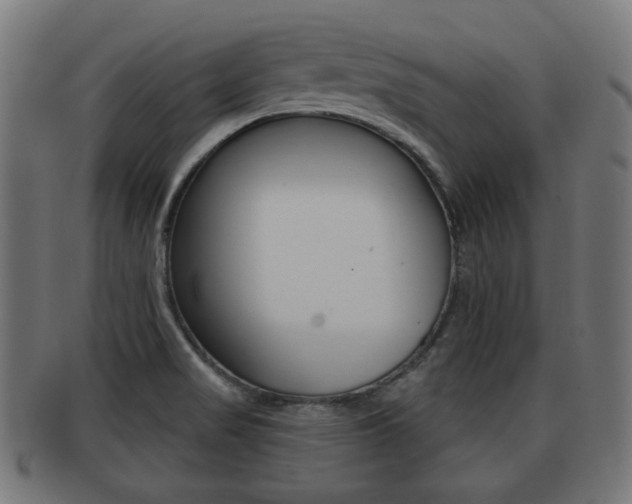 X0000091951517200709061029