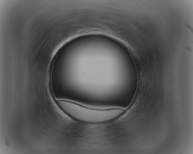 X0000091951518200709061029