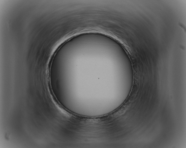 X0000091951519200709061029