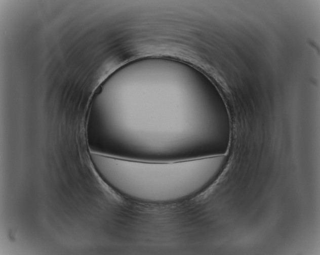 X0000091951521200709061029