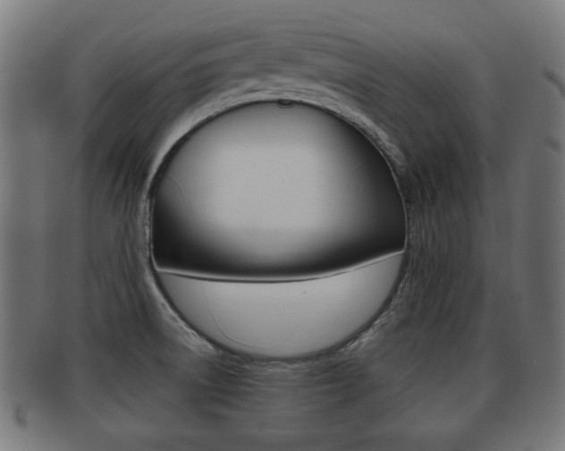 X0000091951522200709061029