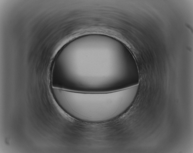 X0000091951523200709061029