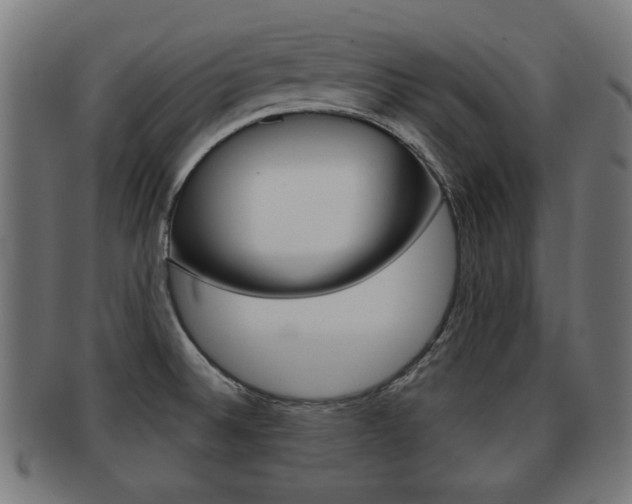 X0000091951524200709061029