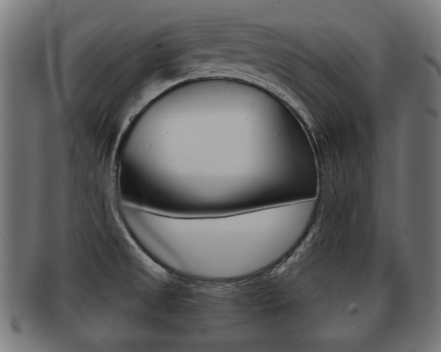 X0000091951525200709061029