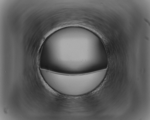 X0000091951526200709061029