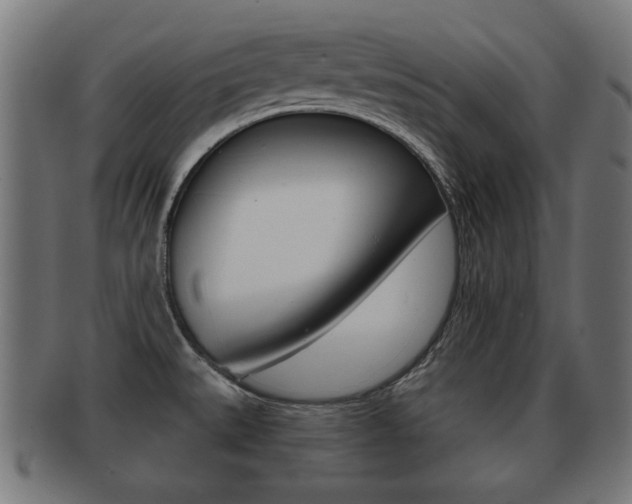 X0000091951527200709061029