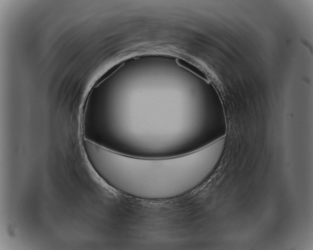 X0000091951528200709061029