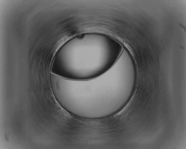 X0000091951529200709061029