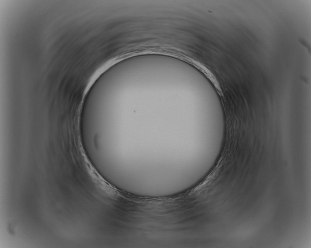 X0000091951530200709061029