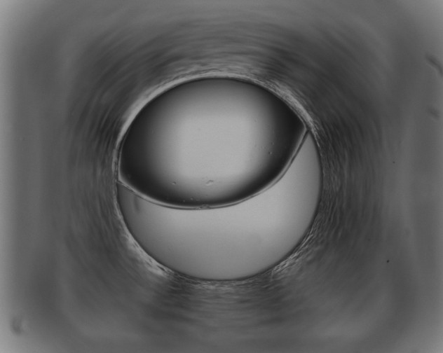 X0000091951532200709061029