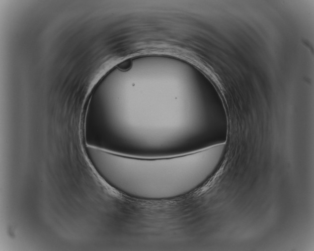 X0000091951533200709061029