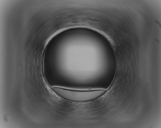 X0000091951534200709061029
