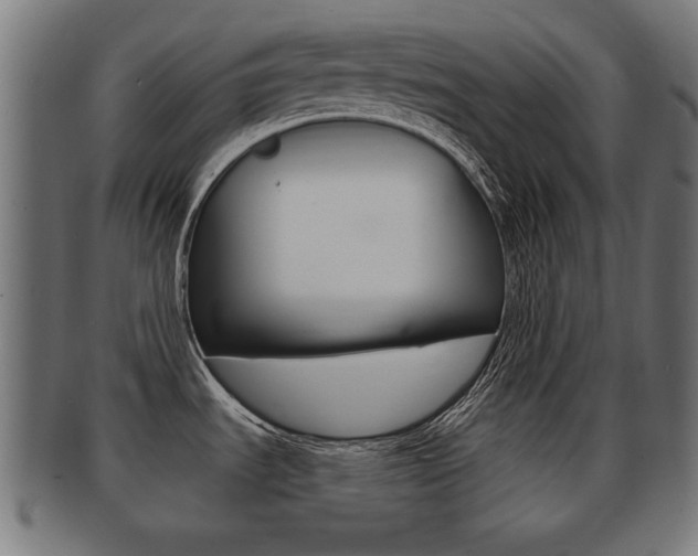 X0000091951535200709061029