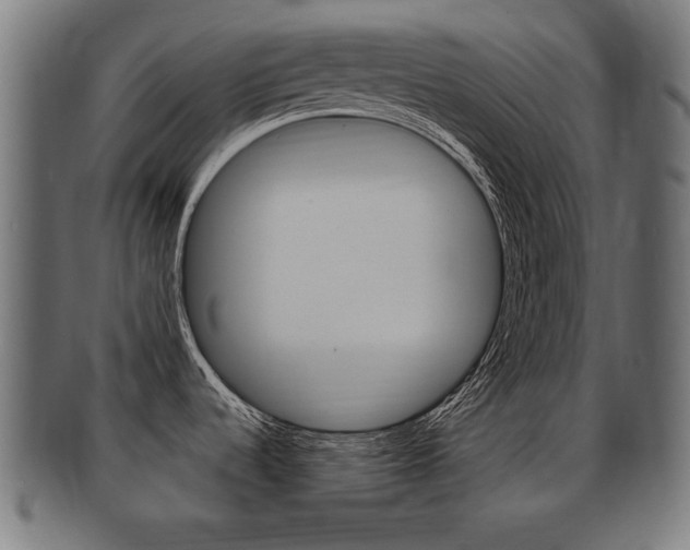 X0000091951536200709061029