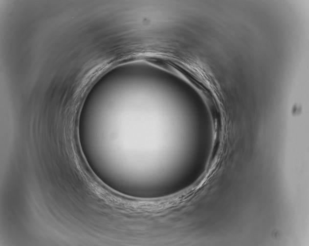 X0000091950001200709061250