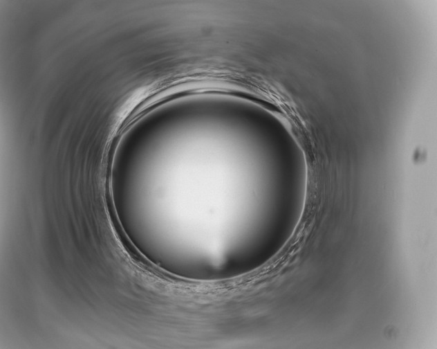 X0000091950003200709061250