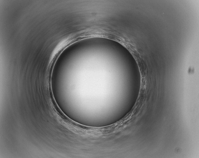 X0000091950004200709061250