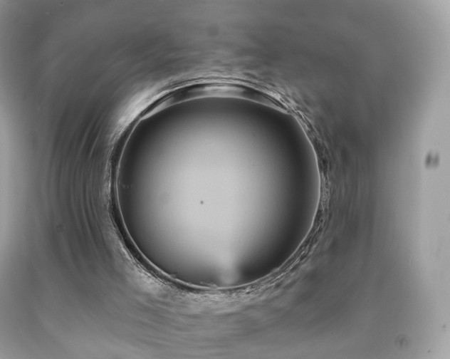 X0000091950005200709061250