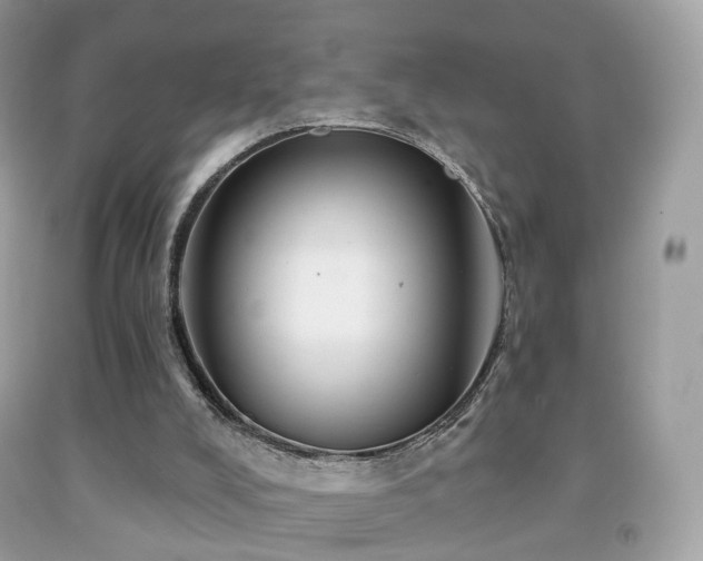X0000091950008200709061250