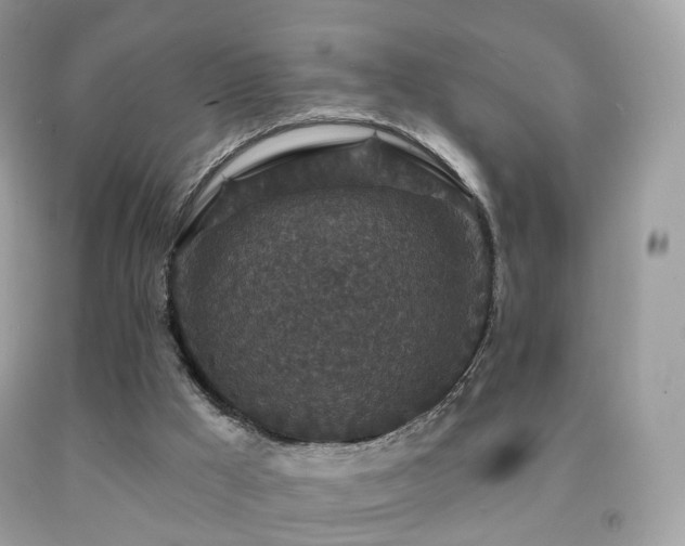 X0000091950009200709061250
