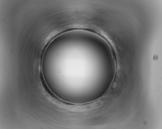 X0000091950011200709061250