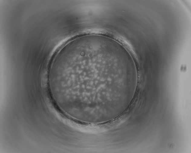 X0000091950012200709061250