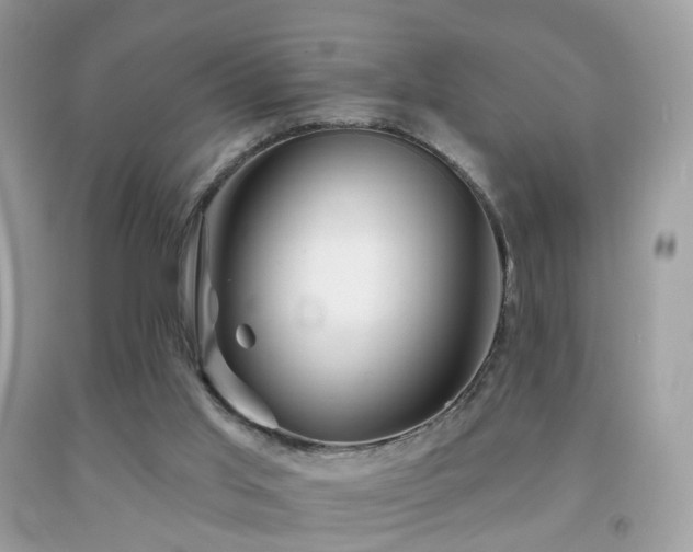 X0000091950013200709061250